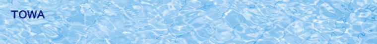 TOWA
